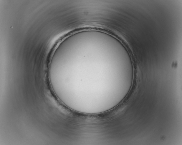 X0000112460979200908171011