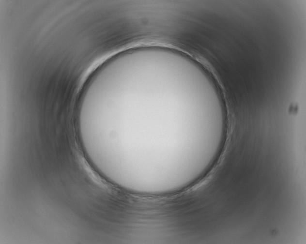 X0000112460981200908171011