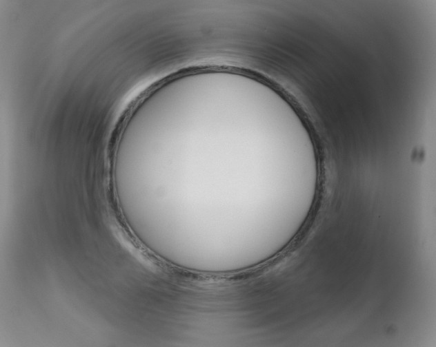 X0000112460982200908171011
