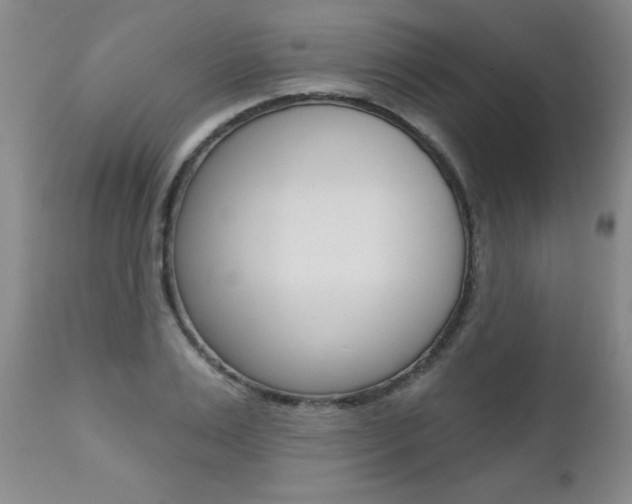 X0000112460983200908171011
