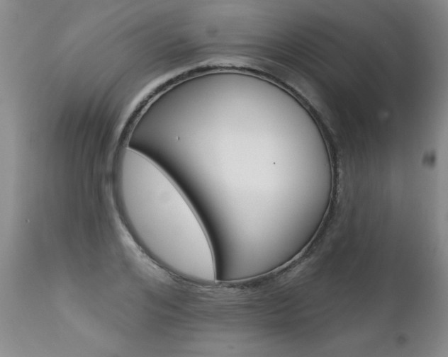 X0000112460984200908171011
