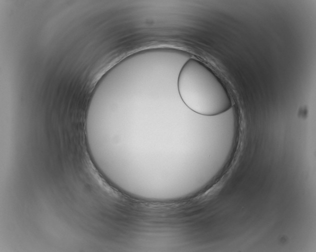 X0000112460985200908171011