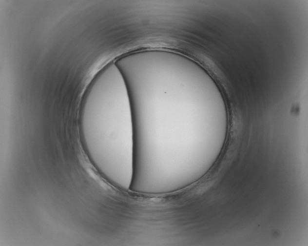 X0000112460986200908171011