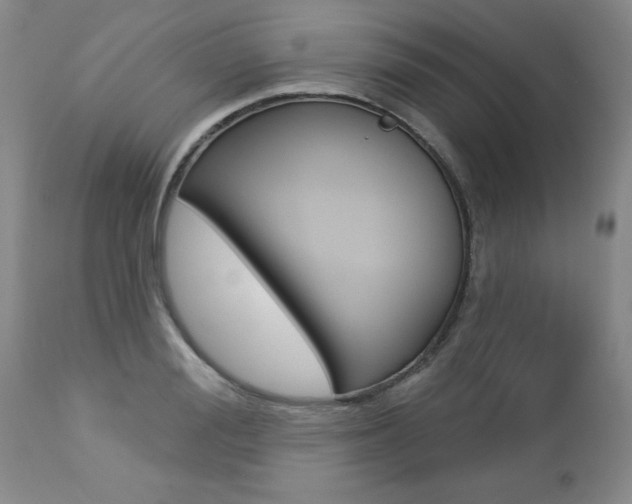 X0000112460988200908171011