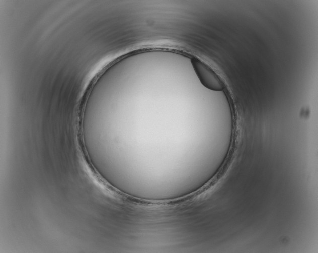 X0000112460989200908171011