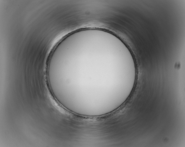 X0000112460990200908171011