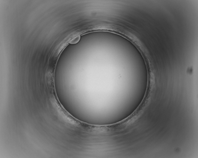 X0000112460993200908171011