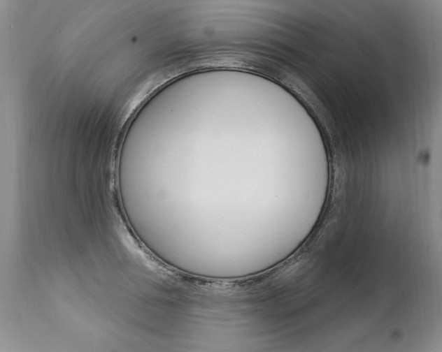 X0000112460994200908171011