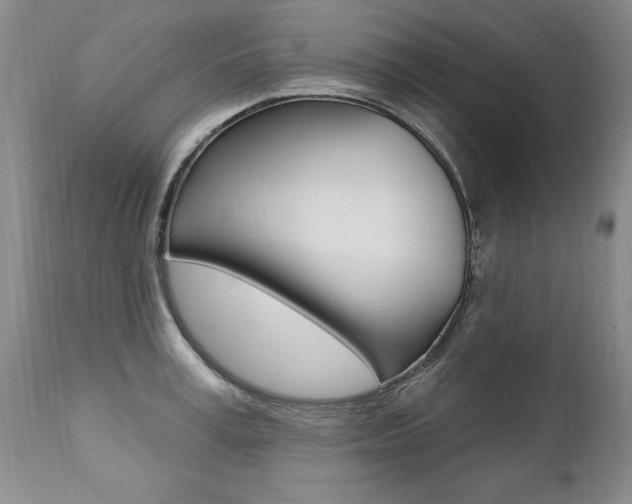 X0000112460995200908171011