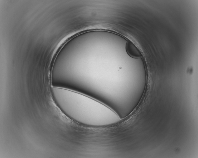 X0000112460996200908171011