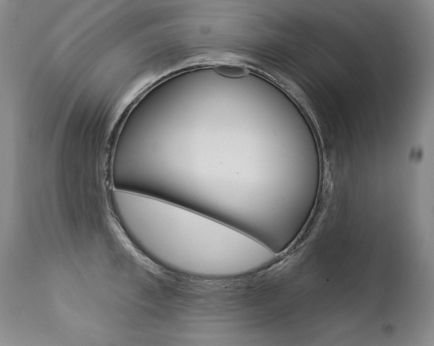 X0000112460997200908171011