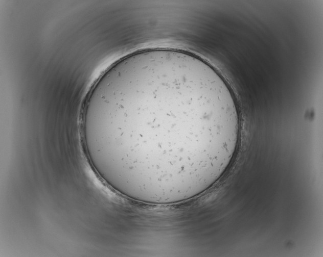 X0000112460998200908171011