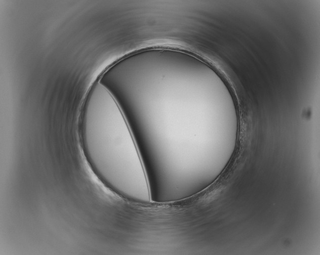 X0000112460999200908171011