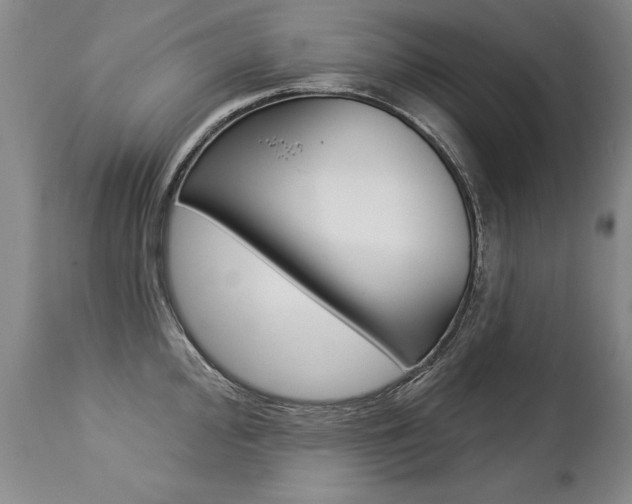 X0000112461000200908171011