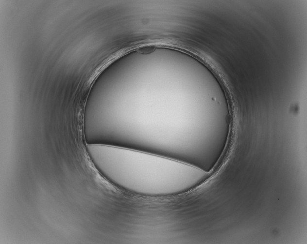 X0000112461001200908171011