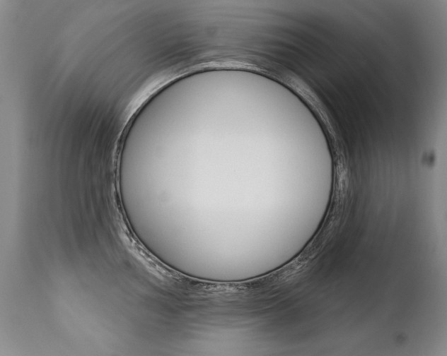 X0000112461002200908171011