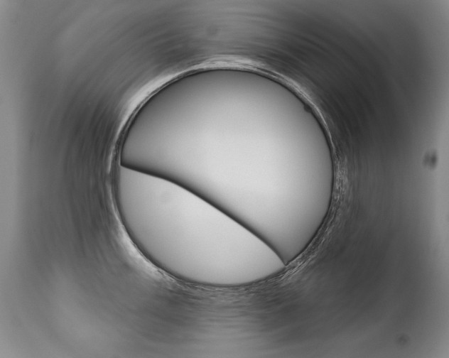 X0000112461003200908171011