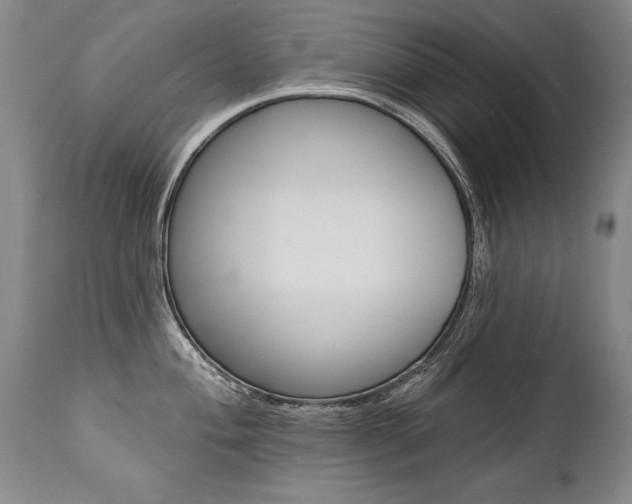 X0000112461004200908171011