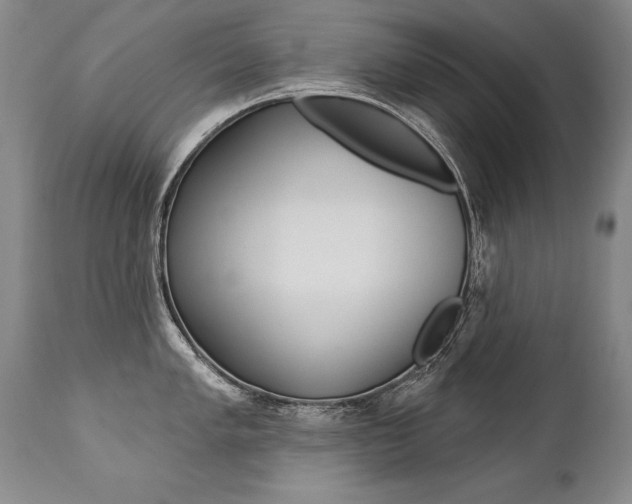 X0000112461005200908171011