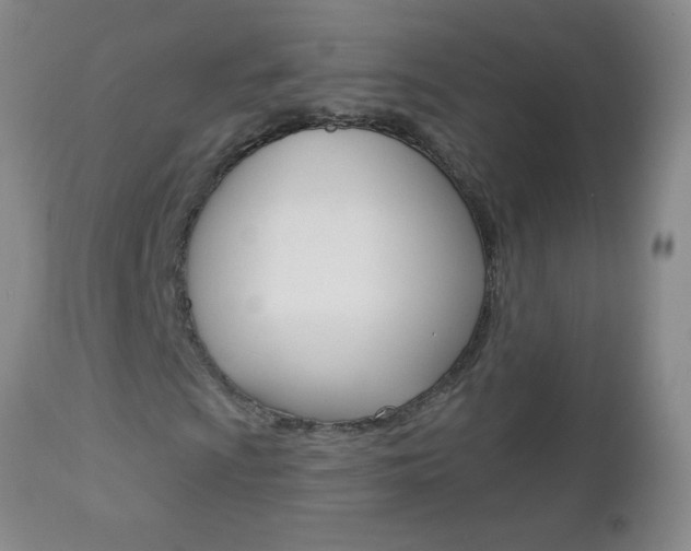 X0000112461009200908171010