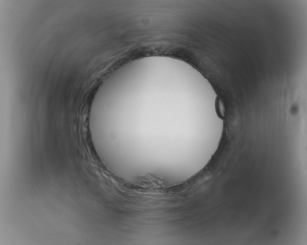 X0000112461010200908171010