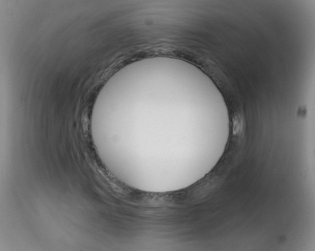X0000112461011200908171010
