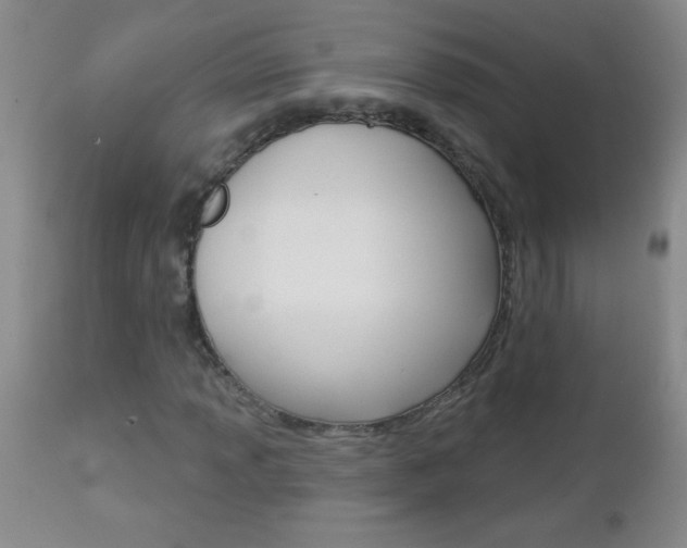 X0000112461013200908171010