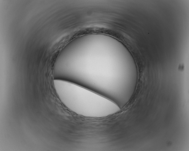 X0000112461014200908171010