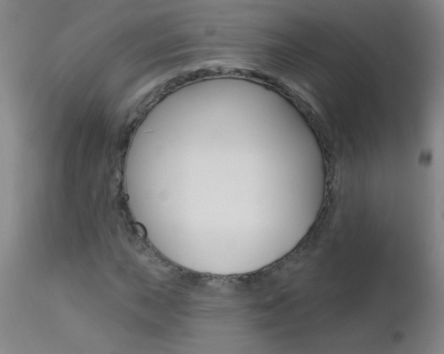 X0000112461015200908171010