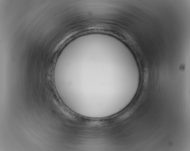X0000112461017200908171010