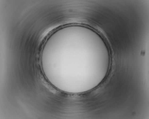 X0000112461019200908171010