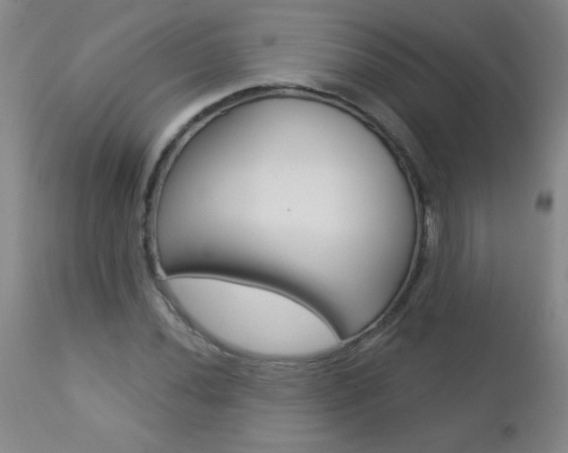 X0000112461020200908171010