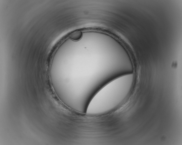 X0000112461021200908171010