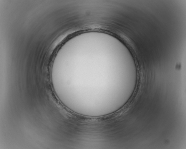 X0000112461023200908171011