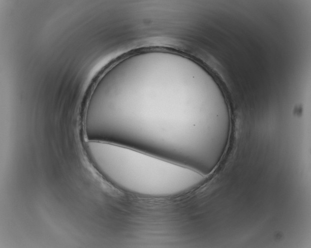 X0000112461024200908171011