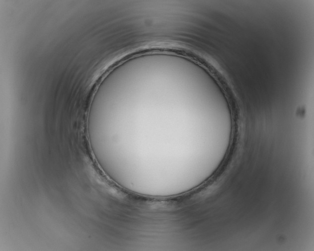 X0000112461025200908171011