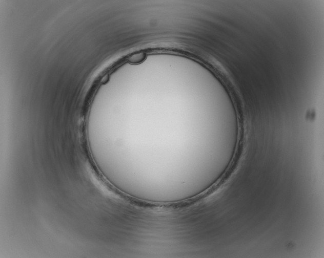 X0000112461029200908171011