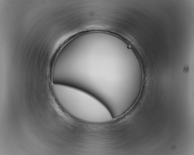 X0000112461030200908171011