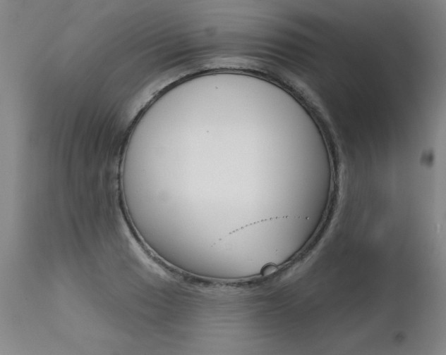X0000112461033200908171011