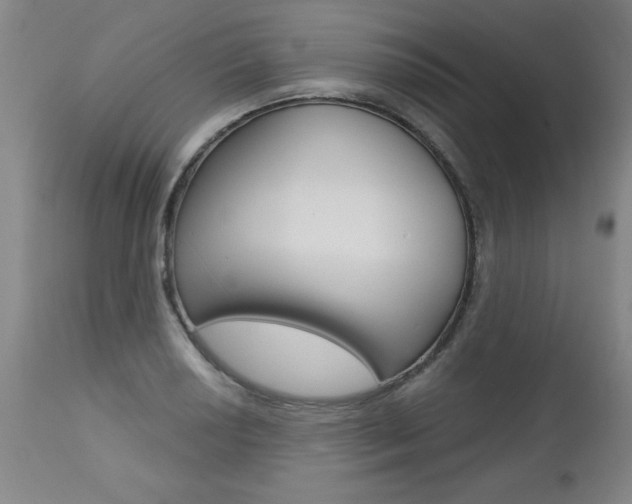 X0000112461034200908171011
