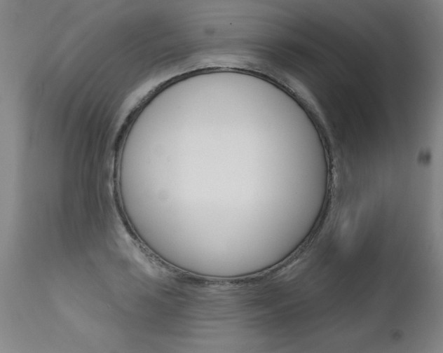 X0000112461035200908171011