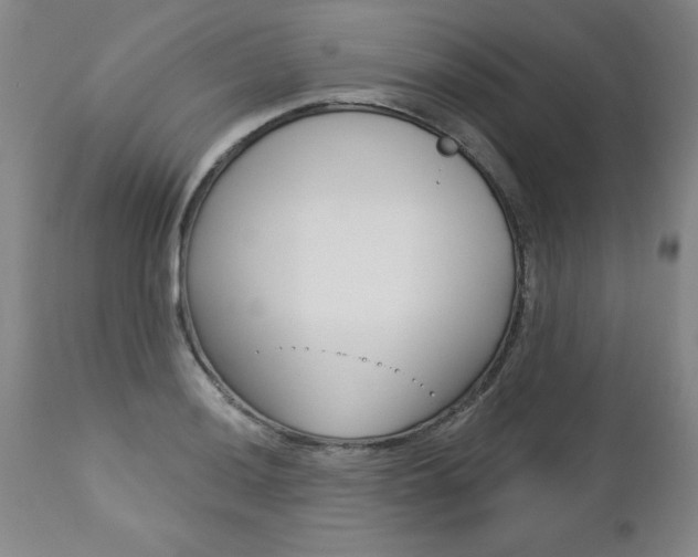 X0000112461036200908171011