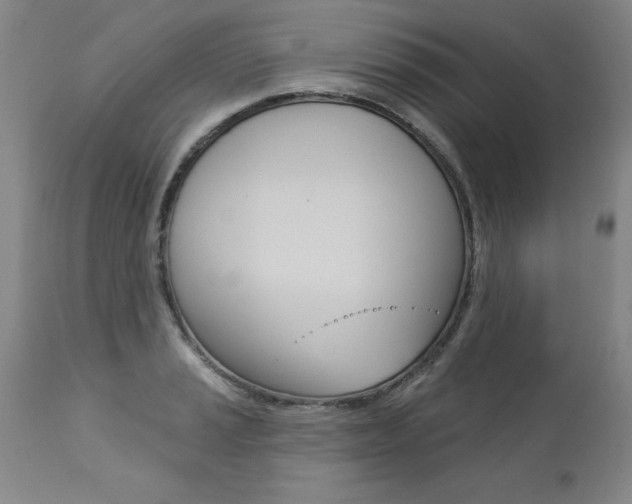 X0000112461037200908171011
