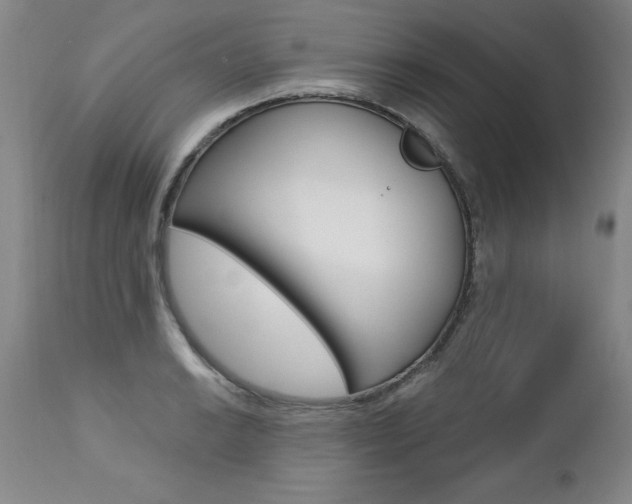 X0000112461038200908171011