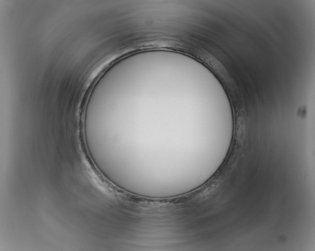 X0000112461039200908171011