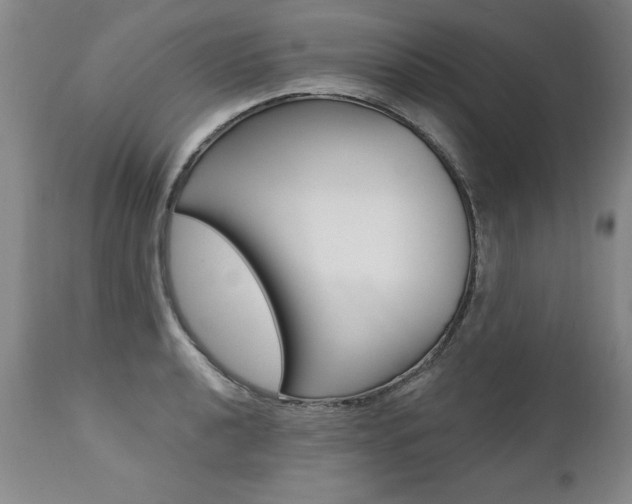 X0000112461040200908171011
