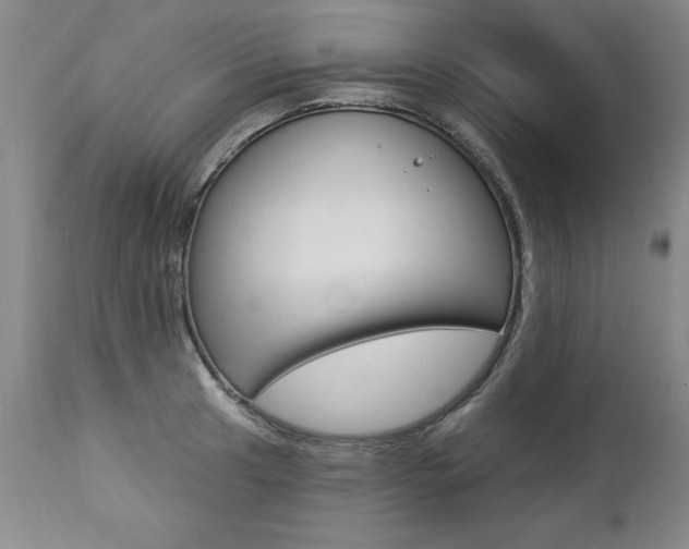 X0000112461041200908171011