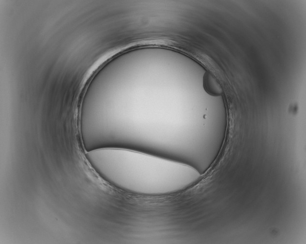 X0000112461044200908171011