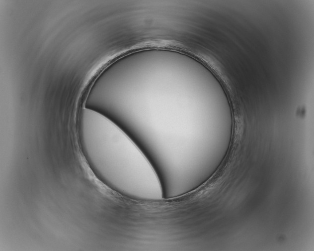 X0000112461046200908171011