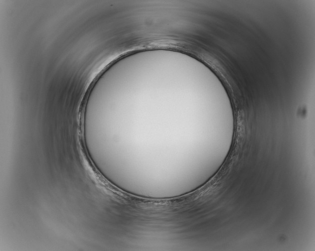 X0000112461047200908171011